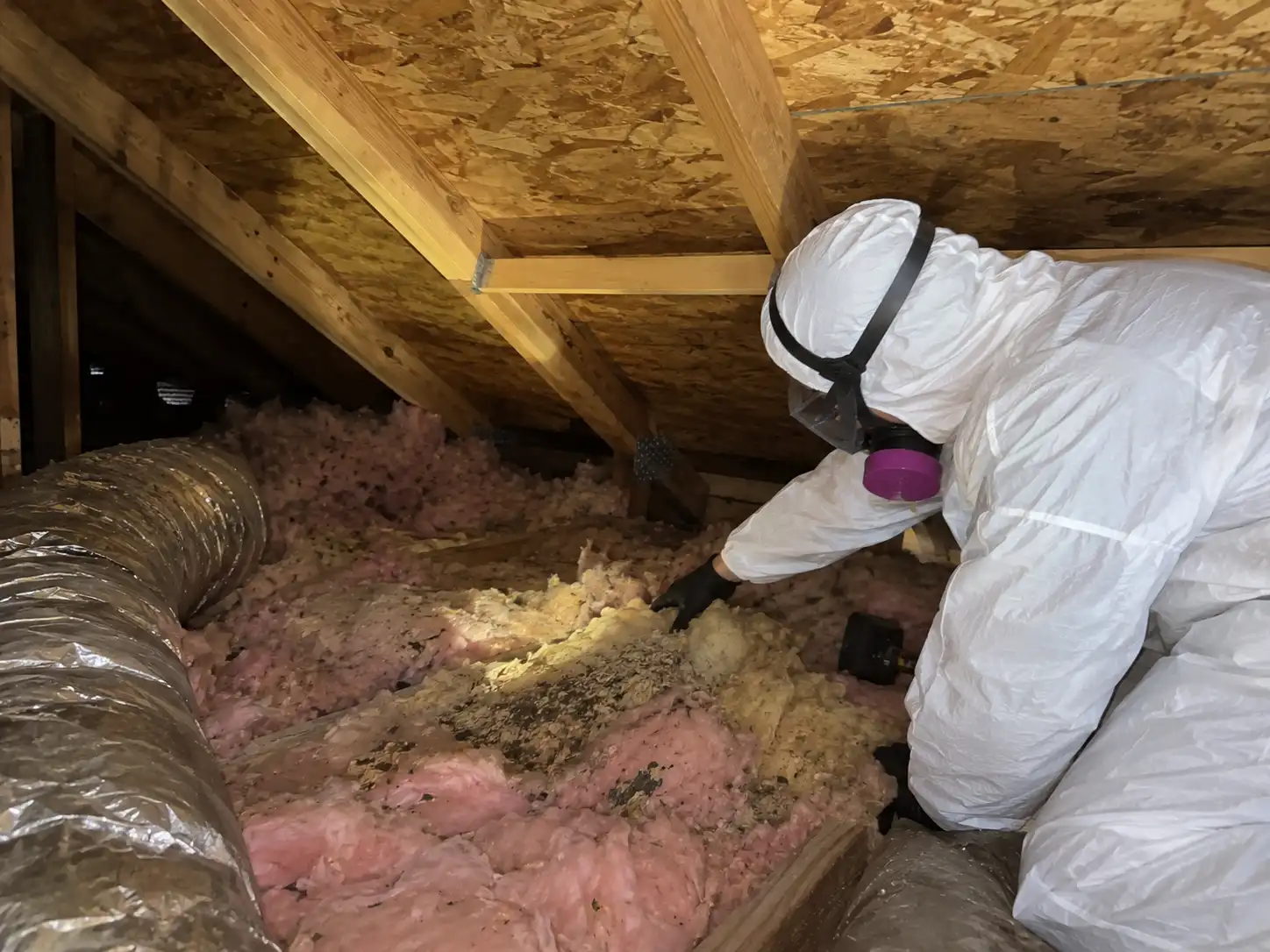 Evaluating Insulation