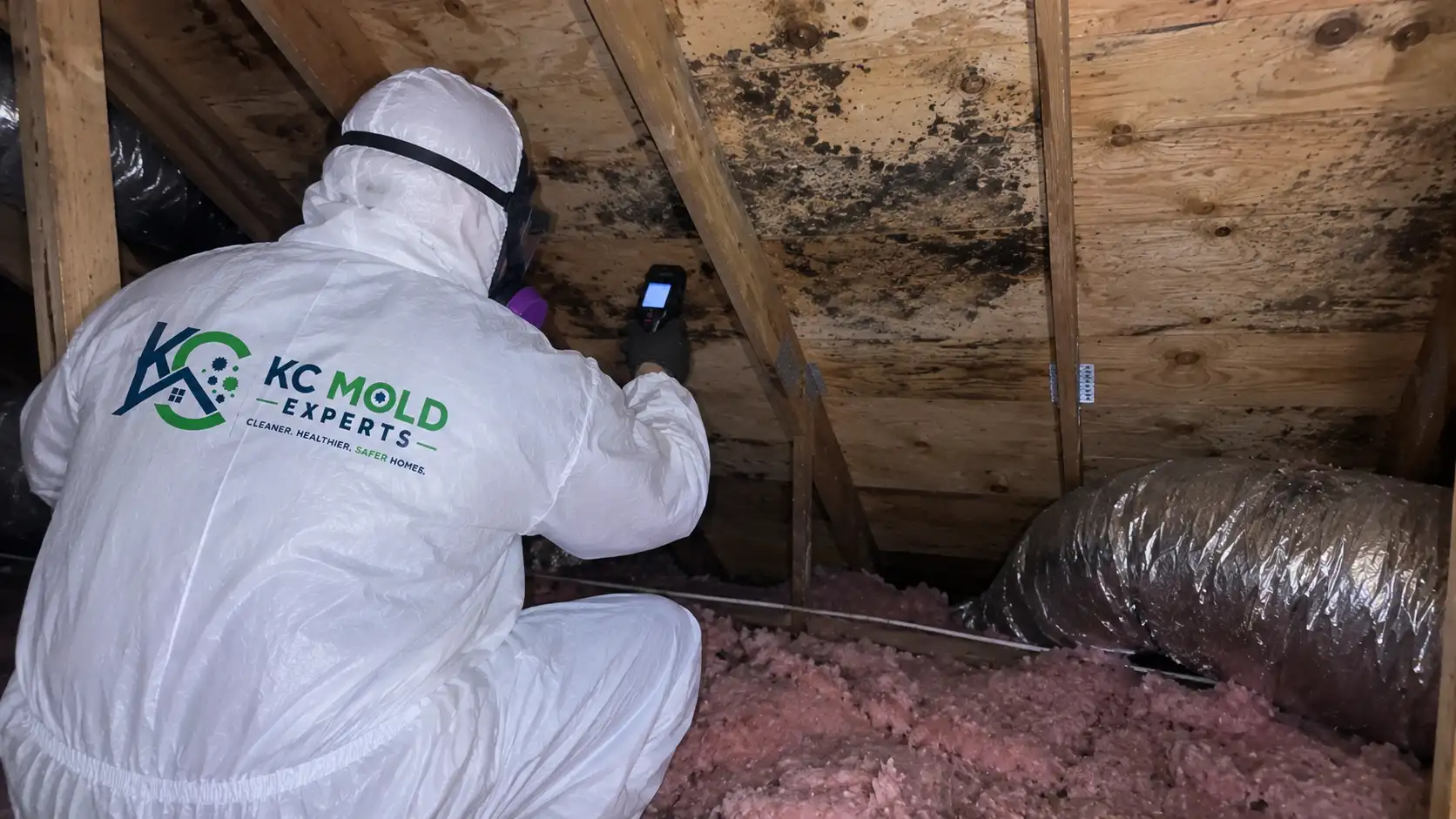 Attic Mold Inspection Kansas city