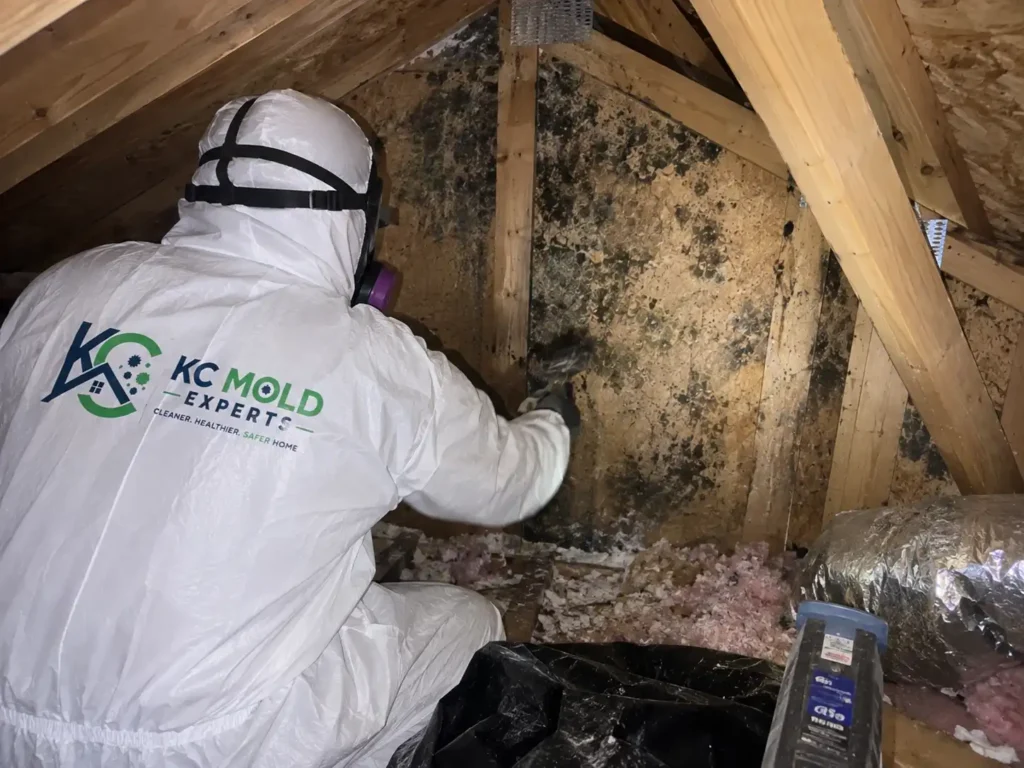 Attic Mold Remediation in Kansas City, MO