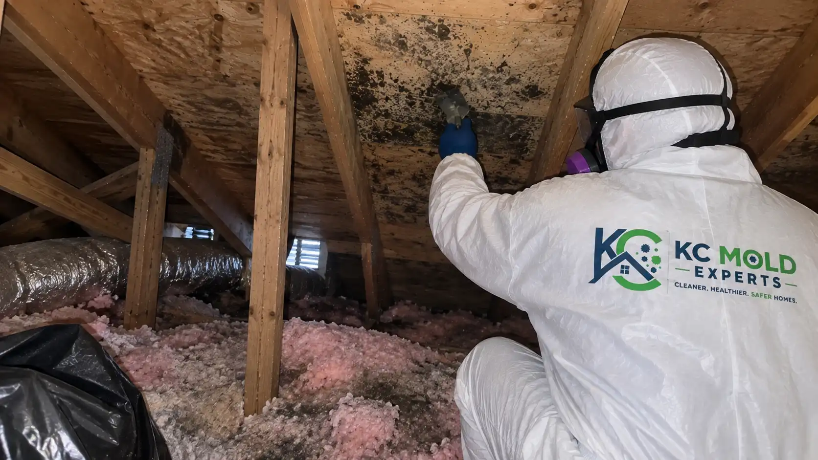 Attic Mold Removal Kansas city