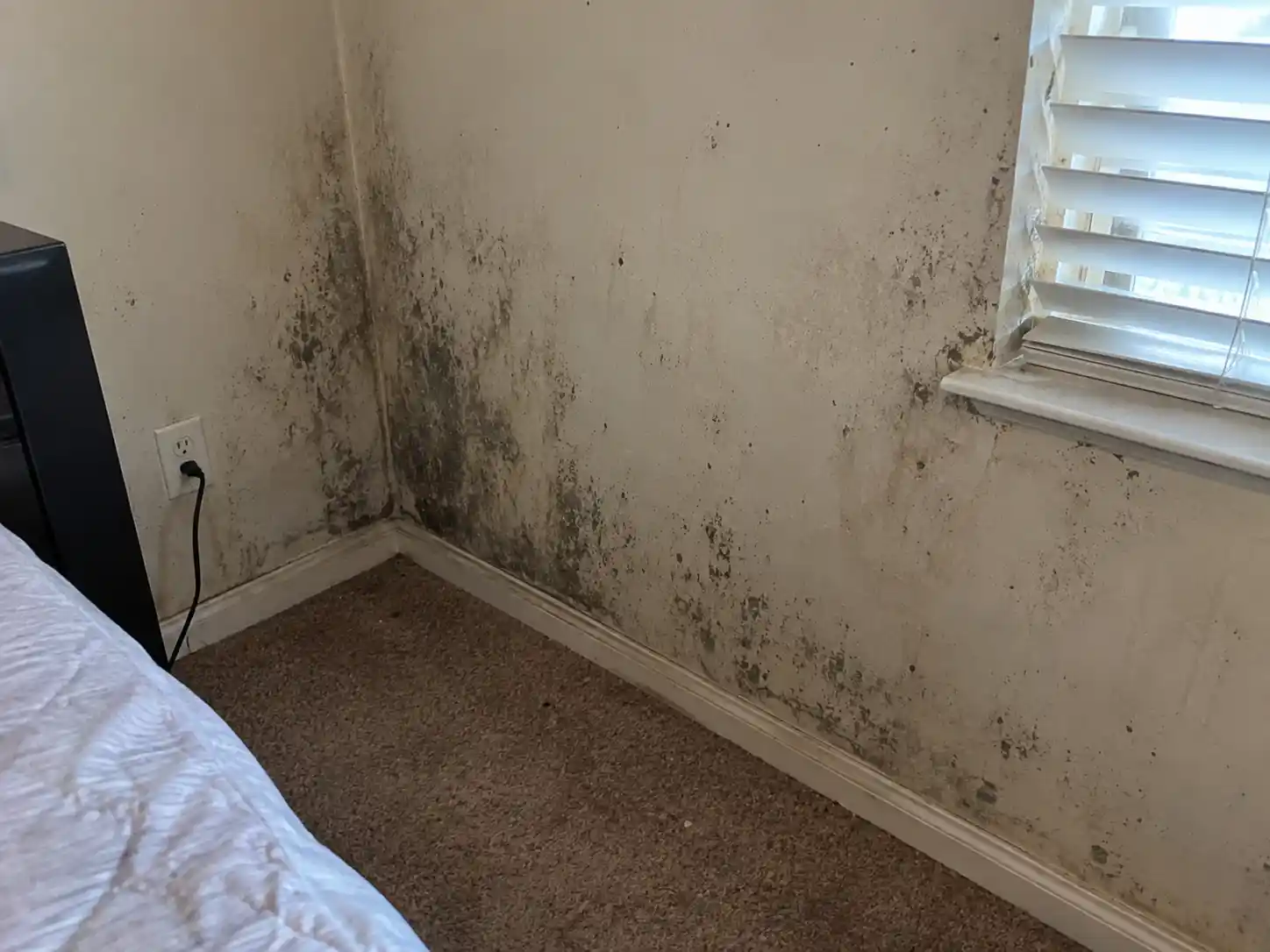 Bedroom & Closet Mold Removal Kansas city