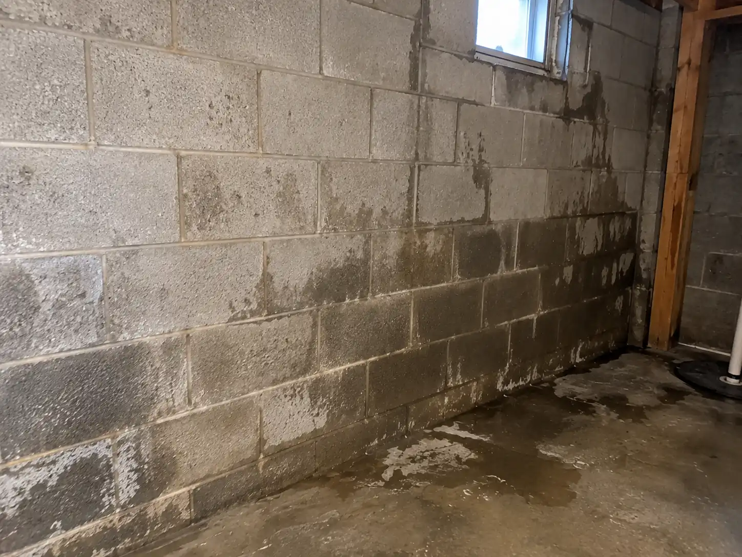 Foundation Moisture
