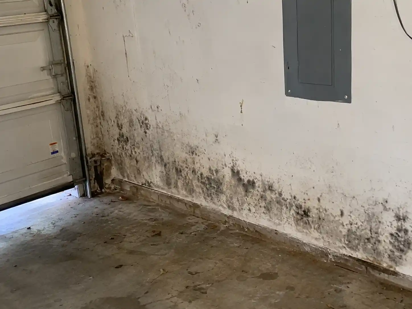 Garage Mold Removal Kansas city