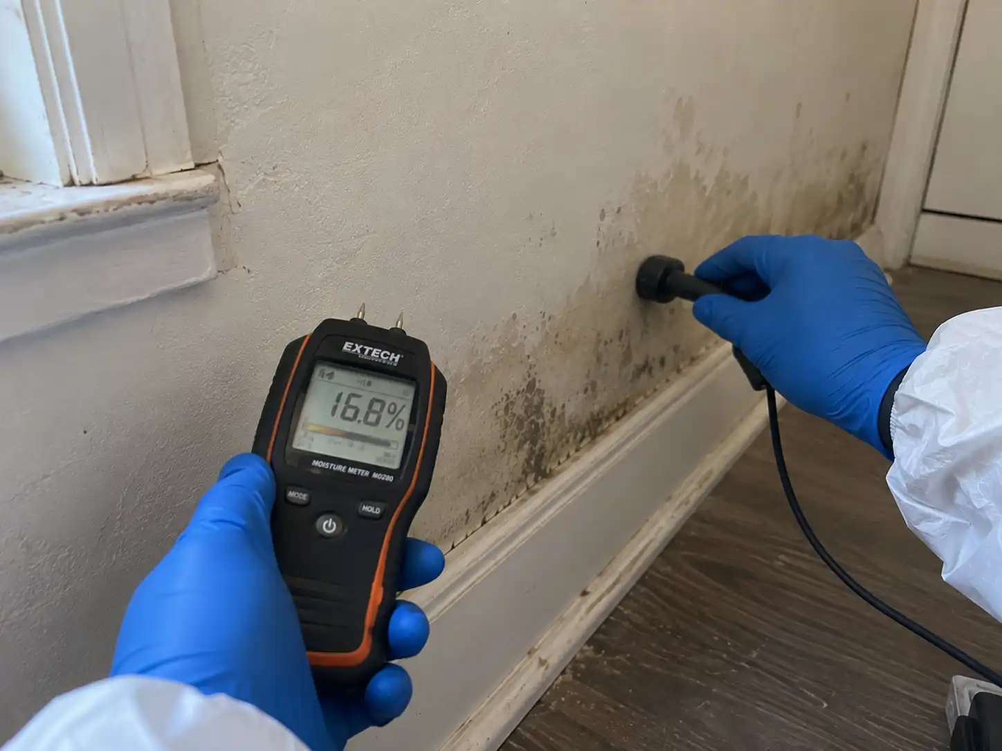 Suspected Hidden Mold
