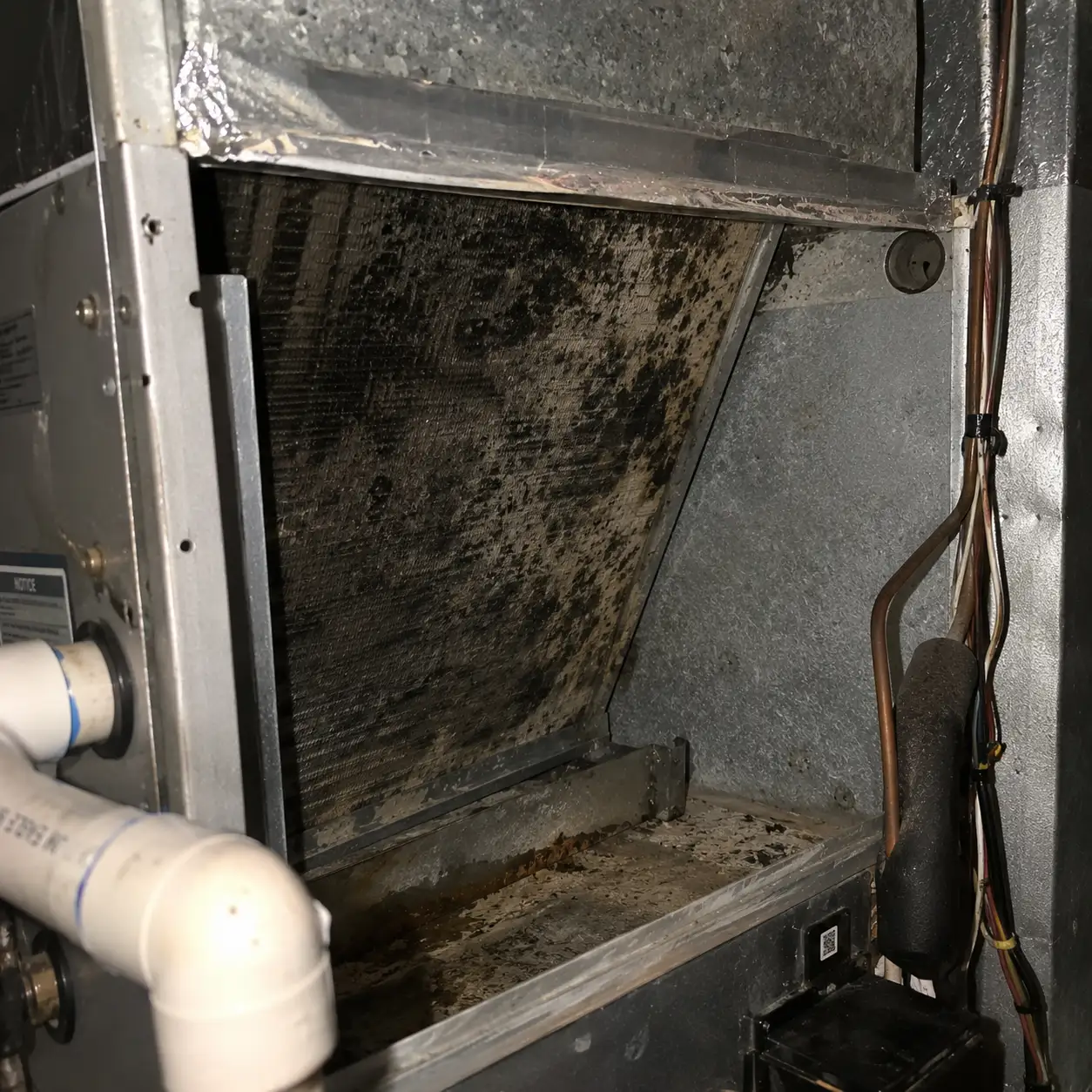 HVAC Mold Remediation