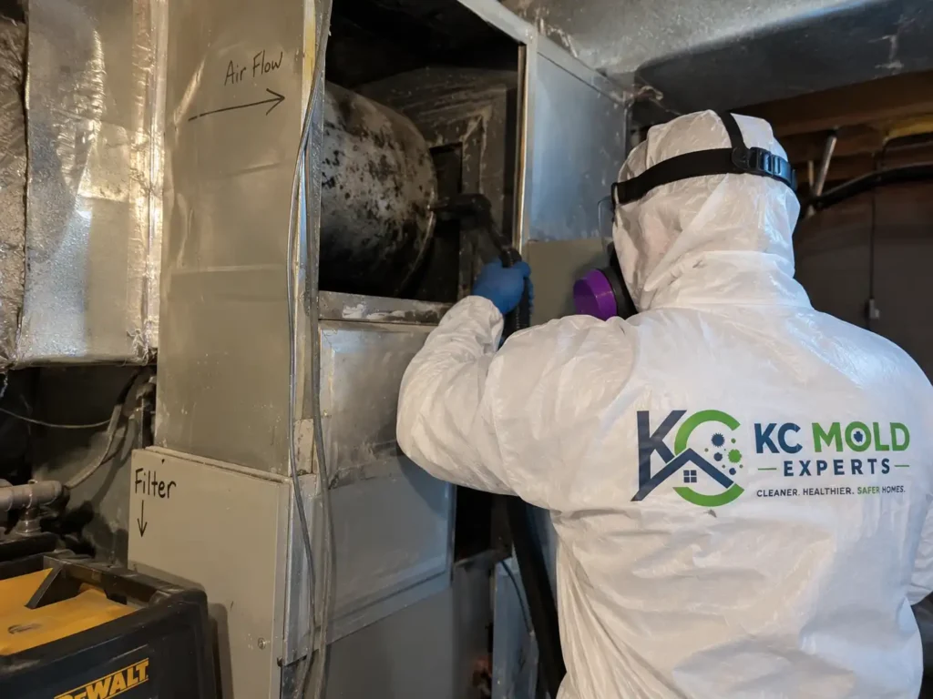 HVAC Mold Remediation in Kansas City, MO