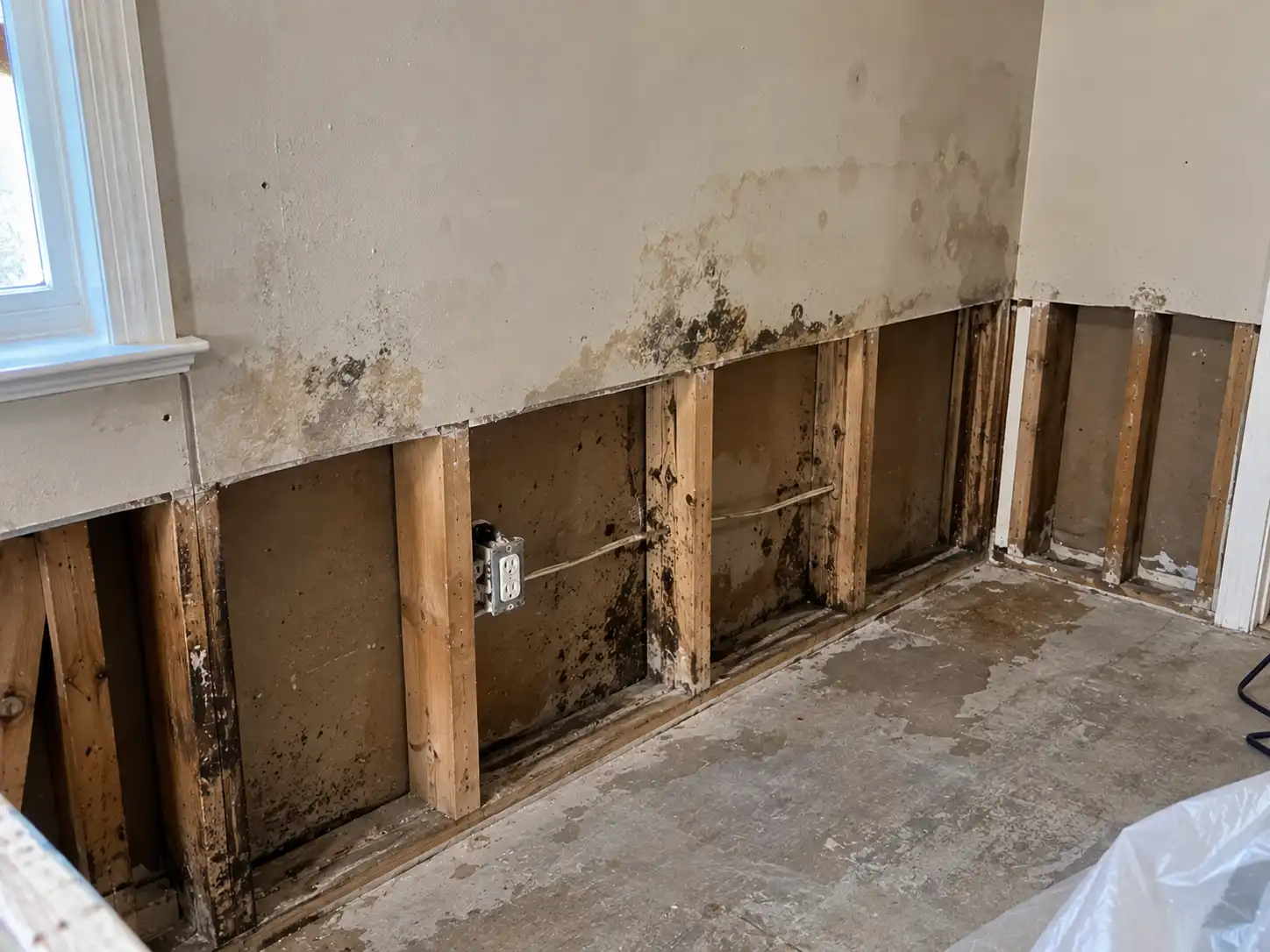Mold removal and damage restoration in Kansas City