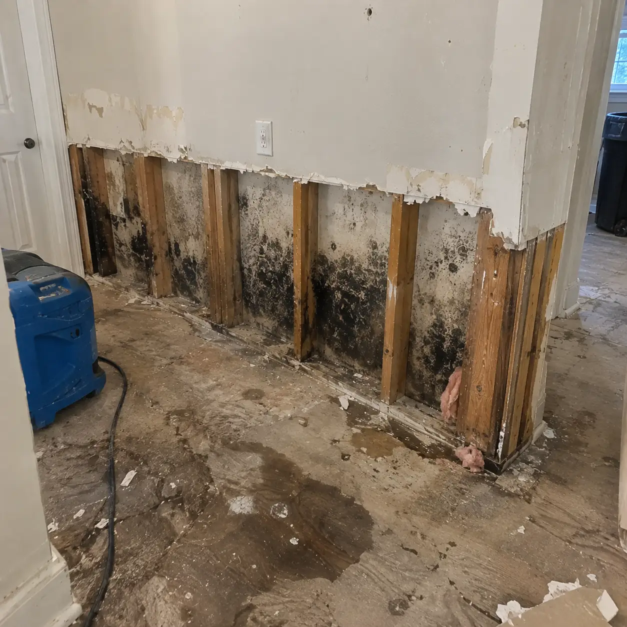 Bathroom Mold Removal Kansas city