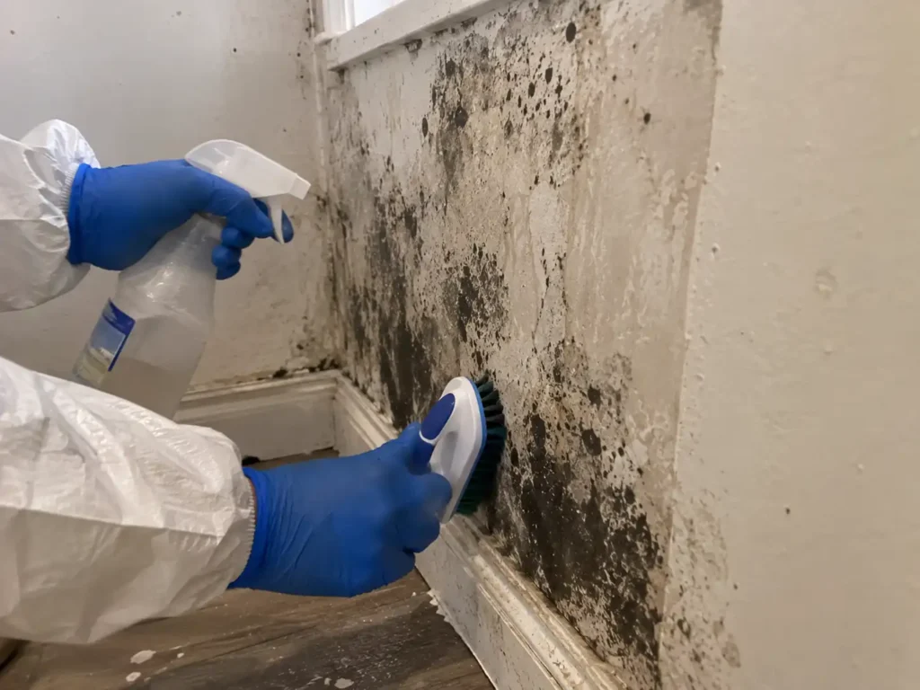 When Mold Damage Requires More Than Cleaning