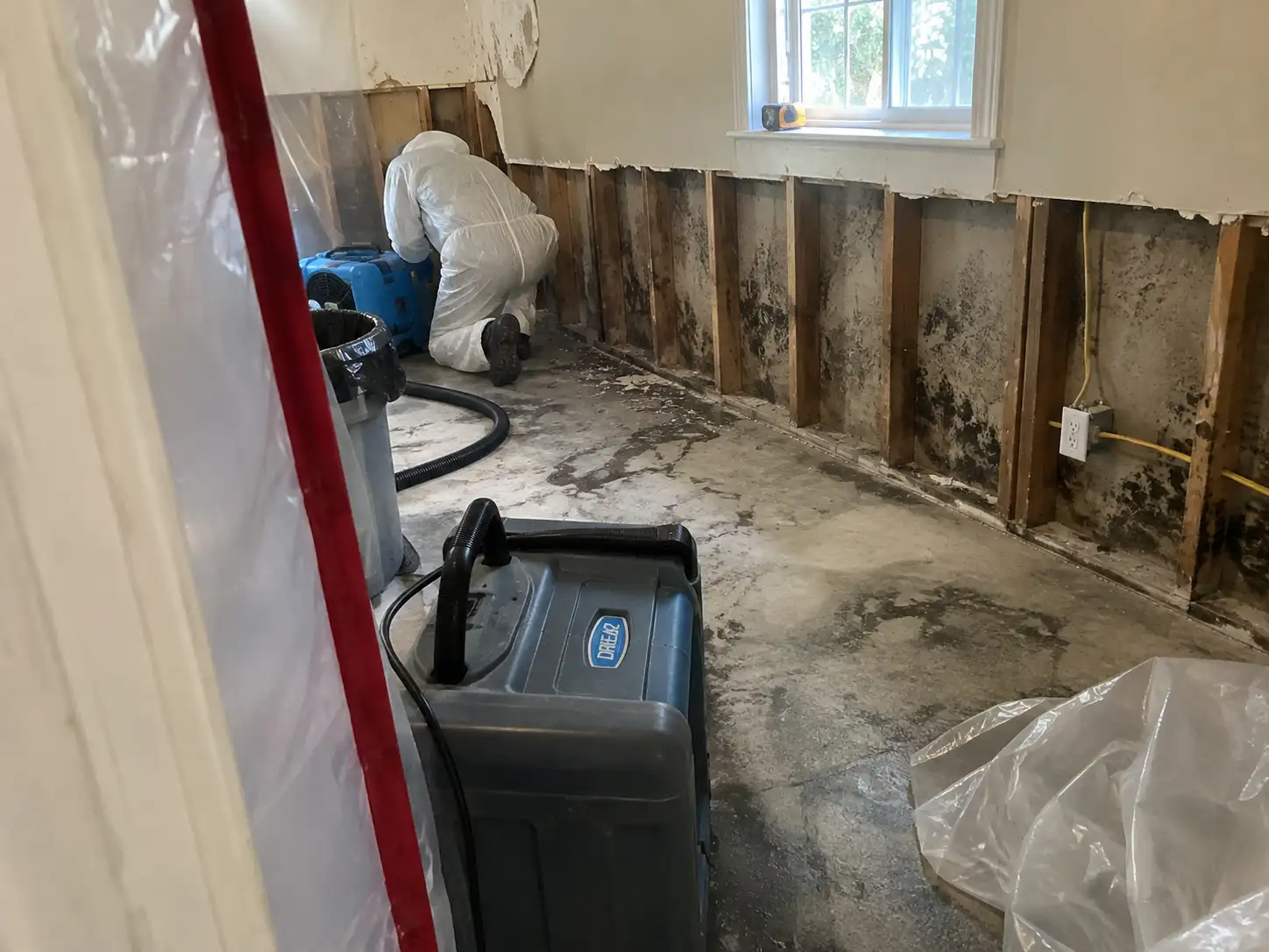 A suited technician performs mold remediation in a Kansas City home, with exposed walls covered in black mold and drying equipment running.