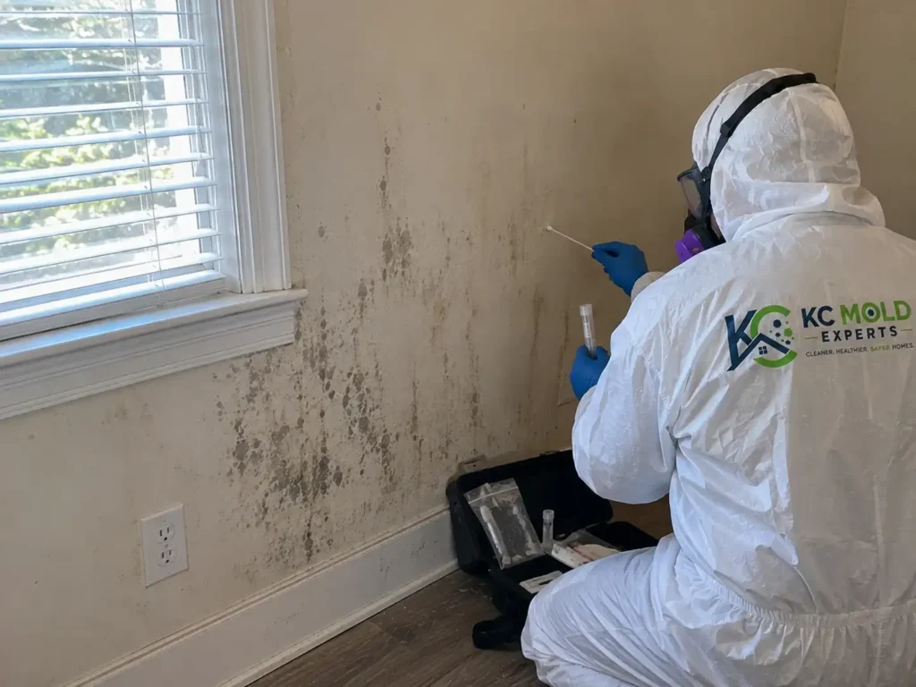 Mold Testing in Kansas City, MO