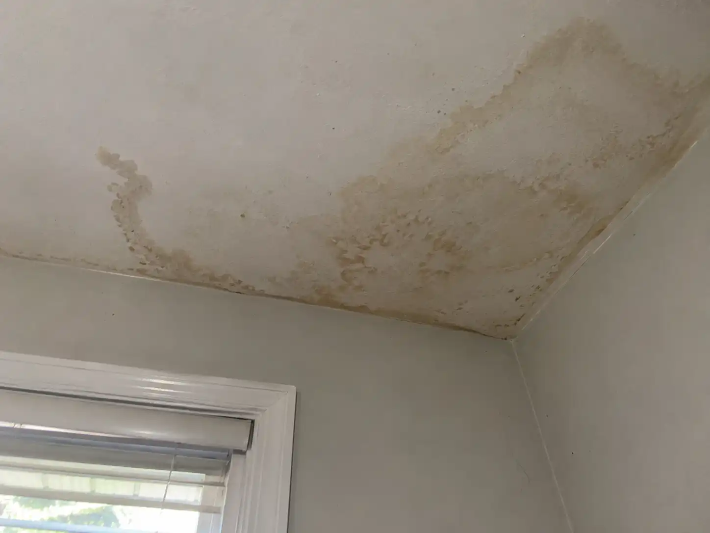 Previous Water Damage