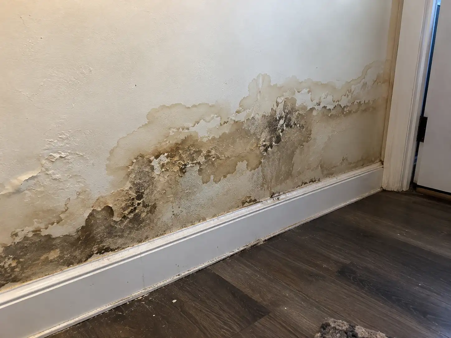 residential mold inspection kansas city