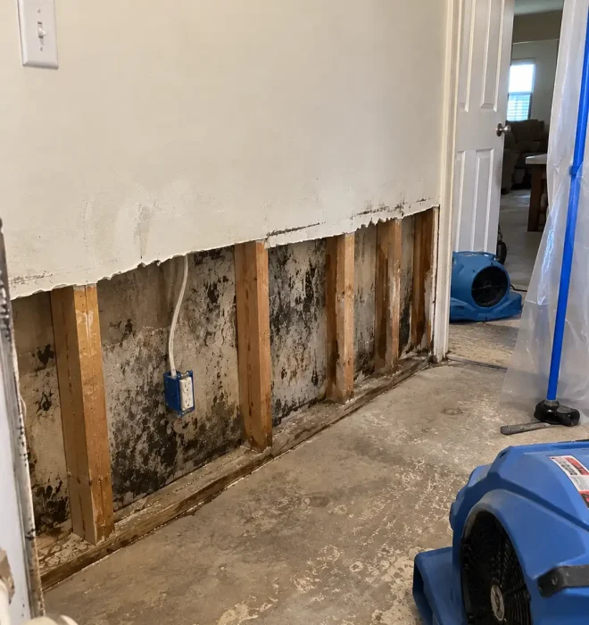 Mold Remediation Cost Factors in Kansas City
